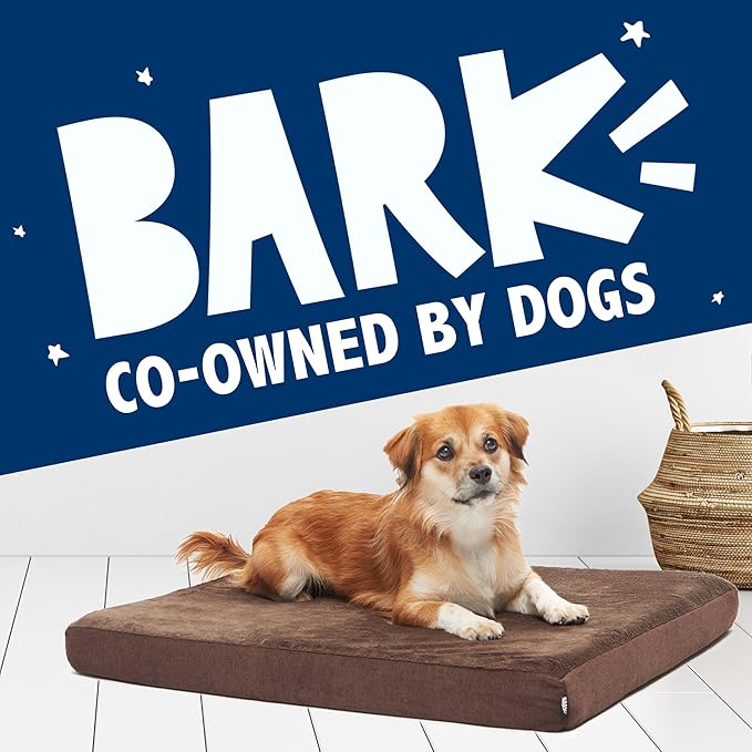 Barkbox Orthopedic Dog Bed with Memory Foam, Premium Comfort for Dogs and Puppies, Dog Bed for Joint Relief and Restful Sleep, Durable and Easy to Clean - Espresso, Medium