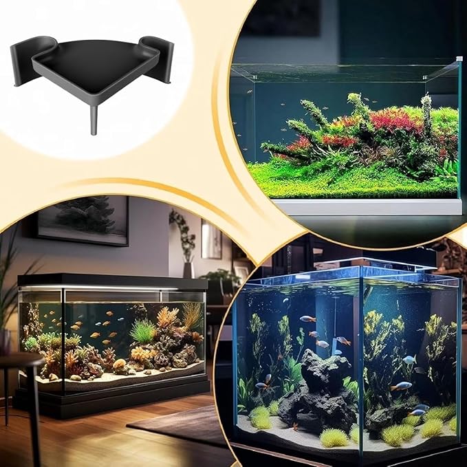 Aquarium Cave Hideout with Viewing Window โ Corner Fish Tank Tunnel for Pleco, Cory Catfish, Kuhli Loach, Shrimp & Betta โ 2 Hole Plastic Breeding Shelter for Bottom Dwellers (6"x6"x2.5")