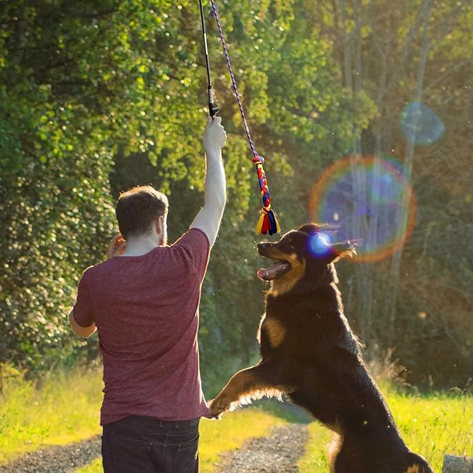 Flirt Pole for Dogs-Interactive Lures Durability Rope,Chase and Tug of war Puppy Toy,Outdoor Dog Agility Training Equipment Plush,Teaser Chew Pet Kits for Small Medium Dogs