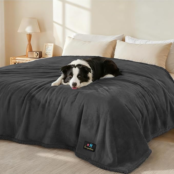 Waterproof Pet Blanket, Liquid Pee Proof Dog Blanket for Sofa Bed Couch, Reversible Sherpa Fleece Furniture Protector Cover for Small Medium Large Dogs Cats, Black Medium(57" x 40")