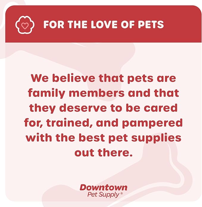 Downtown Pet Supply Step-in Dog Harness – No Pull, Adjustable Padded Mesh with Reflective Trim, Secure Buckle Strap – Comfortable & Breathable Small Dog Harness, Small, Space