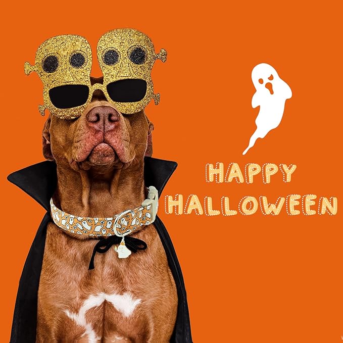 Faygarsle Halloween Ghost Pattern Dog Collar with Charm, Orange and White,for Small Medium Large Dogs S