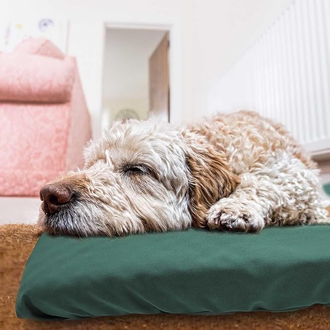 Dog Bed Cover Waterproof Replacement Machine Washable Covers for Dog Bed Heavy Duty Scratch Resistant Mattress Protector Pet Bed 30x20 Inch Dark Green Cover Only