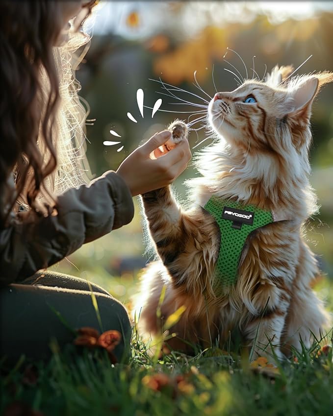 FAYOGOO Cat Harness and Leash Set | Upgrade Step-in Escape Proof Harness | Lightweight Soft Vest, No-Choke Design for Walking, Travel, Camping (Neon Green)