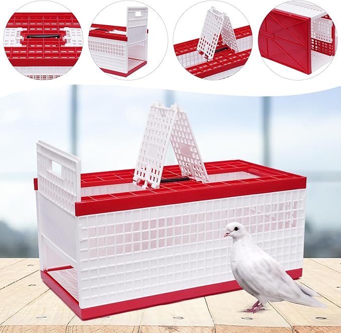 Folding Pigeon Cage with Handle, Portable Plastic Bird Travel Carrier Cage with 3 Doors & Ventilation Grids, Red & White Training Release Nest Box for Racing Pigeons (Holds Up to 14 Birds)