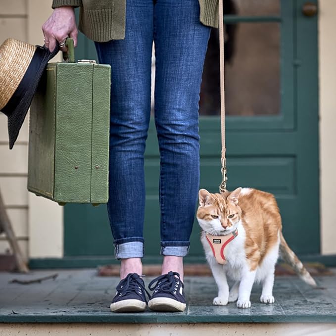 Cat Harness and Leash Set, Soft and Breathable Vest with Reflective Strip, Escape Proof Kitten Harness, Easy to Wear for Cats Walking and Traveling (Red, S)