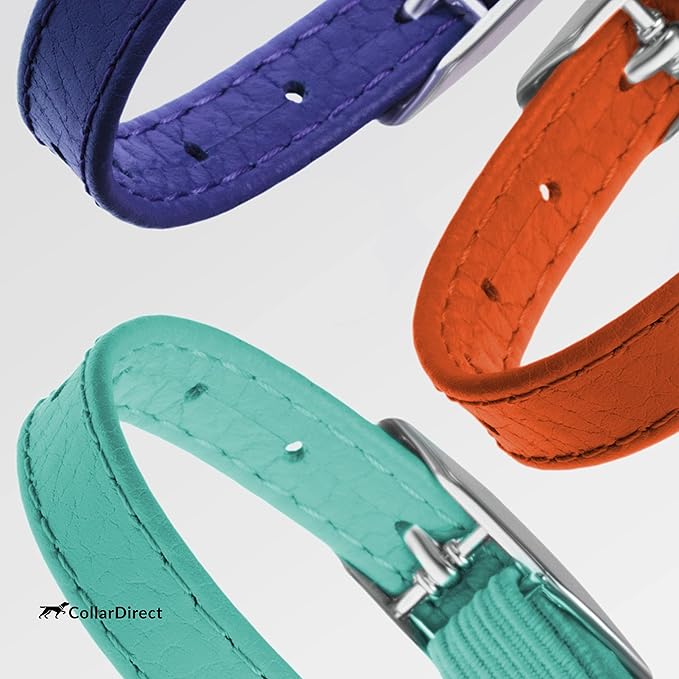 CollarDirect Leather Cat Collar, Kitten Collar with Removable Bell Black Blue Red Orange Lime Green (6-7 Inch, Orange)