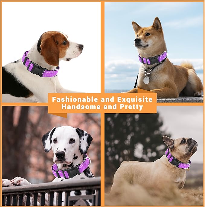 2 Pack Reflective Dog Collar with Safety Locking Buckle, Adjustable Soft Breathable Comfortable Nylon Pet Collar for Small, Medium and Large Dogs, Rosered, XS
