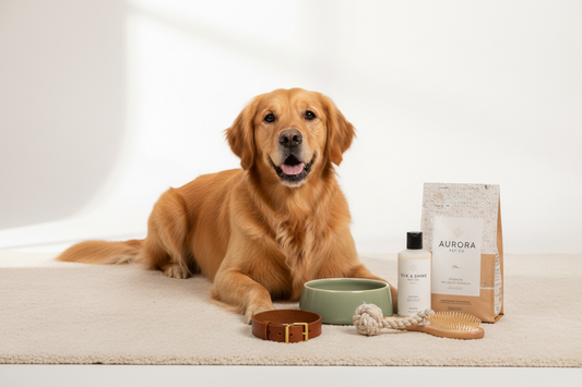 5 Essential Tips for Keeping Your Dog Healthy & Happy