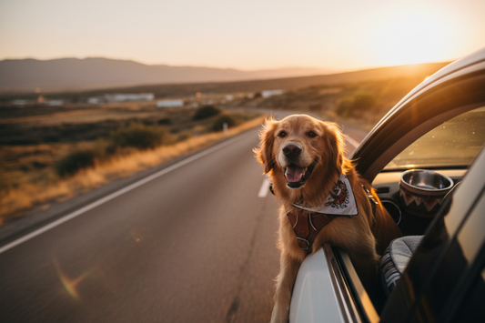 The Pet Parent's Guide to Stress-Free Travel with Your Furry Friend
