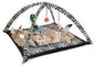 Cat Activity Center