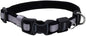Coastal Pet - Coastal - Inspire Enhanced Core - Adjustable Collar, Grey, 5/8" x 8"-12"