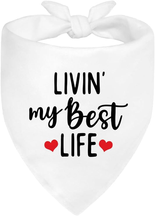 Livin' My Best Life White Dog Bandana, Sunshine Dog Bandanas Accessories for Photo Outdoor Playtime and Birthday Party, Christmas Thanksgiving Gifts for Pet Owner Puppy Mom Dad Pet Lover