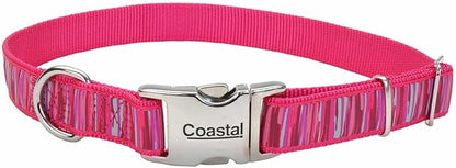 Coastal Pet - Ribbon - Adjustable Dog Collar with Metal Buckle, Pink Flamingo Stripe, 5/8" x 08"-12"