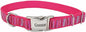 Coastal Pet - Ribbon - Adjustable Dog Collar with Metal Buckle, Pink Flamingo Stripe, 5/8" x 08"-12"