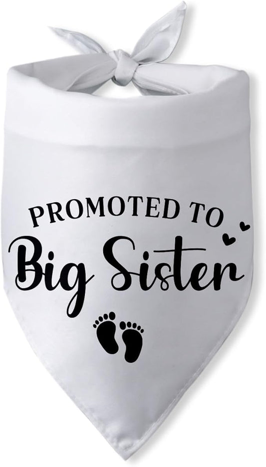 Promoted to Big Sister Pregnancy Announcement Dog Bandana Baby Gender Reveal Baby Announcement Photo Props Dog Scarf for Large Medium Small Dogs