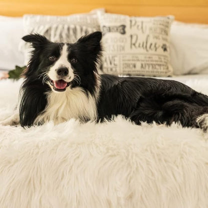 PupProtector Waterproof Throw Blanket for Dogs and Cats, Pet Blanket Cover for Couches, Sofas, Beds, Car Seats, Furniture, Calming Soft Faux Fur, Polar White, Large (80" L x 62" W)