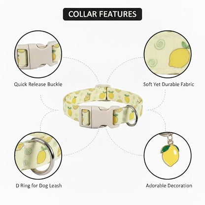 Dog Collar, Spring Summer Dog Collar with Yellow Lemon and Cute Charm, Pet Collar with Quick Release Buckle and Durable Fabric, Suitable for Medium Dogs