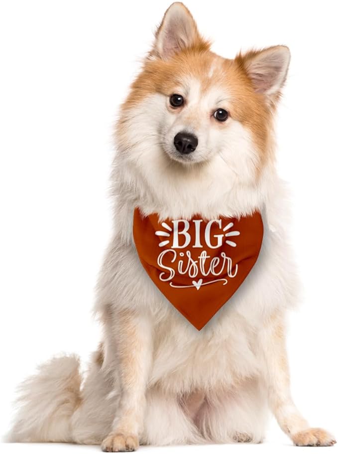 Big Sister Bandana for Dogs, Pet Pregnancy Announcement, Dark Orange Dog Bandana, Dog Baby Announcement, Pet Bandanas for Small Medium Dogs (M)