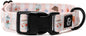 Lucy & Co. Sipping Slowly Dog Collar, Adjustable Durable Dog Collar with Cute Print, Medium