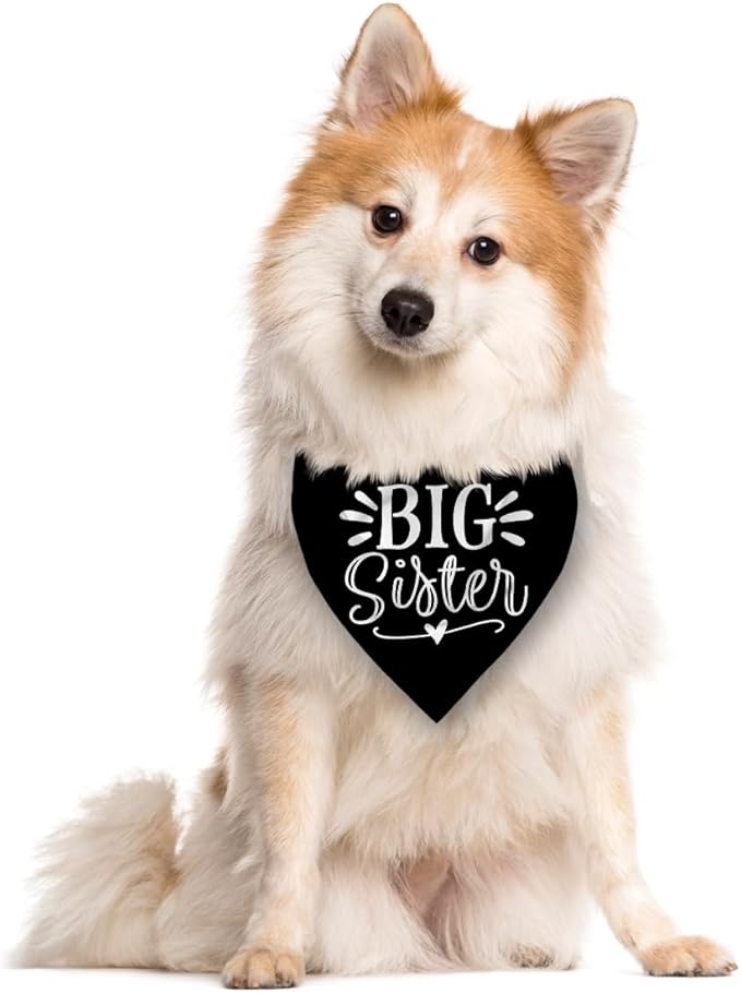 Big Sister Bandana for Dogs, Pet Pregnancy Announcement, Black Dog Bandana, Dog Bandanas for Large Dogs (L)
