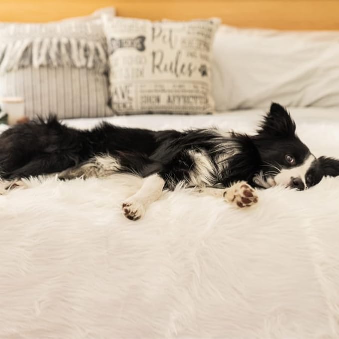 PupProtector Waterproof Throw Blanket for Dogs and Cats, Pet Blanket Cover for Couches, Sofas, Beds, Car Seats, Furniture, Calming Soft Faux Fur, Polar White, Original (60" L x 50" W)