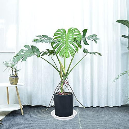 4 Pack of 14 inch Plant Saucers, Plant Saucer 14" Round, Plastic Plant Tray for Flower Pots, White Planters for Indoor Plants, Plant Trays for Planter 12-15" (14", Creamy White)