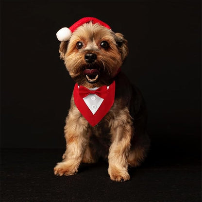 Formal Dog Tuxedo Adjustable Pet Collar with Bow, Small, Medium and Large Dog Wedding Clothing, Birthday Gifts