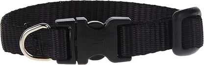 LupinePet Basics 1/2" Black 6-9" Adjustable Collar for Extra Small Dogs