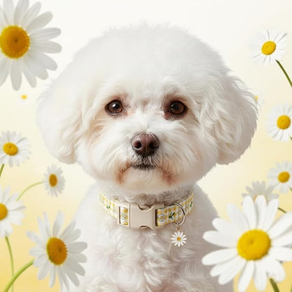 Cute Dog Collar, Yellow Plaid Dog Collar with White Floral Pattern, Spring Summer Design Floral Collar for Girls Boys Small Dogs