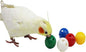 QBLEEV 5 Pack Bird Bell Balls Sets for Chewing Playing Training, Colorful Parrot Cage Treat Toy for Cockatiel Parakeet Conure Budgie, Small Pet Foot Talon Toy for Parrot Kitten Puppy, Random Color