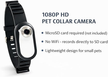 Mini Dog Collar Camera 1080P – Records to Micro SD Card – No Live Streaming – No WiFi – Lightweight POV Camera for Dogs – Adjustable Pet Collar