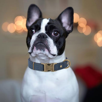 PET ARTIST Dog Collar for Large Dogs, Soft Padded Premium Nylon Dog Collar with Quick Release Metal Buckle, Durable & Adjustable Pet Collars for Boy Gifts, Blue, L (Fit 15-22")