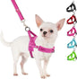 SlowTon No Pull Small Dog Harness and Leash Set, Puppy Soft Vest Harness Neck & Chest Adjustable, Reflective Lightweight Harness & Anti-Twist Pet Lead Combo for Small Medium Dogs (Fuchsia, XS)