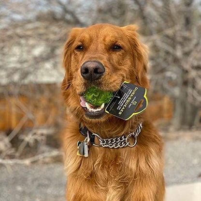 Hyper Pet DuraSqueak Dog Ball Toy, Interactive Dog Toys that Float and Squeaks for Playing, Fetching and Retrieving-Great Alternative to Traditional Tennis Balls Green 2.5 Inch