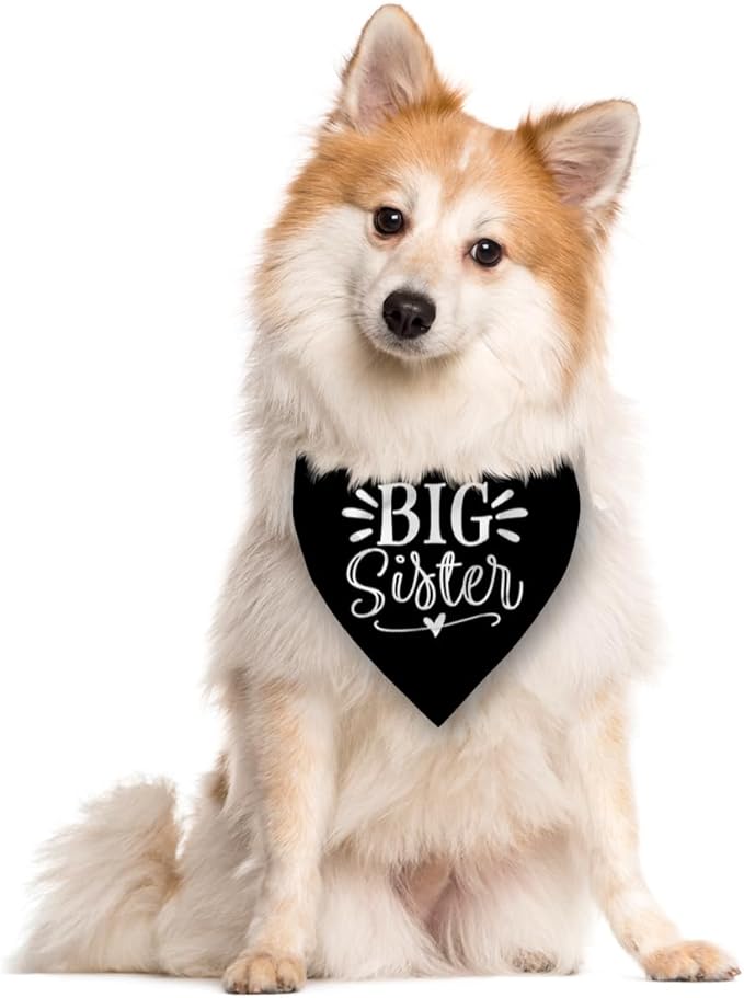 Big Sister Bandana for Dog, Pet Pregnancy Announcement, Black Dog Bandana, Big Sister Dogs Shirt, Pet Bandana for Small Medium Dogs (M)