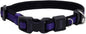 Coastal Pet - Coastal - Inspire Enhanced Core - Adjustable Collar, Purple, 5/8" x 10"-14"