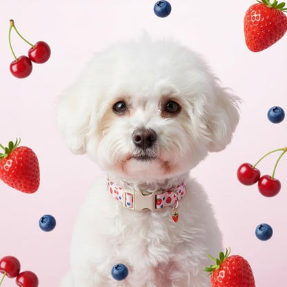 Small Dog Collar, Cute Dog Collar for Puppy, Extra Small & Small Dogs, Strawberry Blueberry Collar for Girl Female Dogs, XS