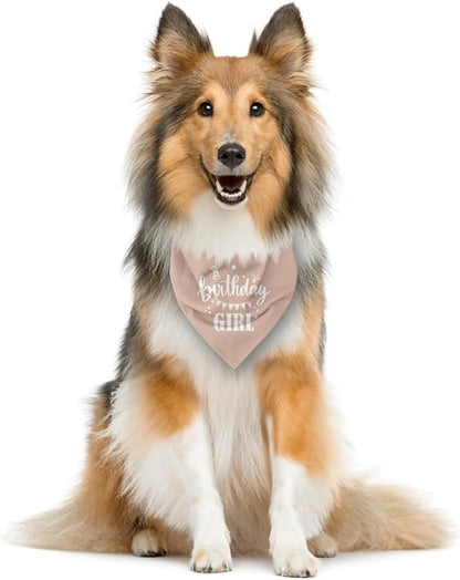 Birthday Girl Dog Bandana - Apricot Pink, Funny Cute Triangle Scarf, Pet Accessories for Small Medium Large Dogs, Gift for Dog Lover (D33)