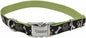 Coastal Pet - Ribbon - Adjustable Dog Collar with Metal Buckle, Brown Paws and Bones, 1" x 18"-26"