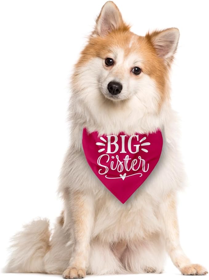 Big Sister Dog Bandana, Deep Pink Dogs Scarf Accessories, Pet Triangle Scarf, Pet Bandana for Large Dogs, Baby Announcement Dog Bandanas (L)