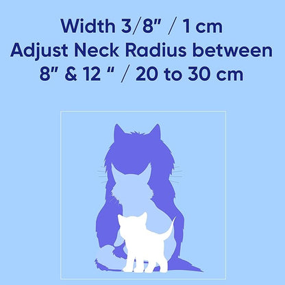 Pawtitas Personalized Pink Reflective Cat Collar – Adjustable Custom Collar with Safety Buckle, Removable Bell, and Engraved Name & Phone Number for Kittens and Adult Cats