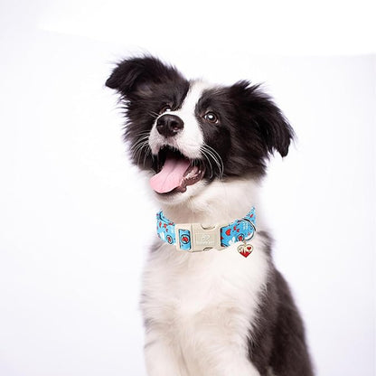 Valentines Dog Collar, Blue Heart Dog Collar, Cute Loving Heart Printed Collar with Quick Release Plastic Buckle for Boys&Girls Dogs, X-Small