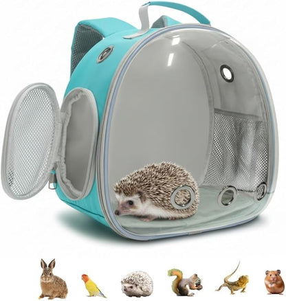 Small Animal Carrier Guinea Pig Backpack,Transparent, Breathable Backpack Carrier for Hedgehogs, Rabbits, Birds, Squirrels, Hamsters, Lizards Comfortable, Portable Travel Bag for Small Pets (Green)
