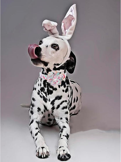 Lionheart glory Easter Day Dog Collar with Flower Dog Collar for Small Dogs, Rabbits Colorful Dogs Collars Flowers Spring Collars Puppy Flowers