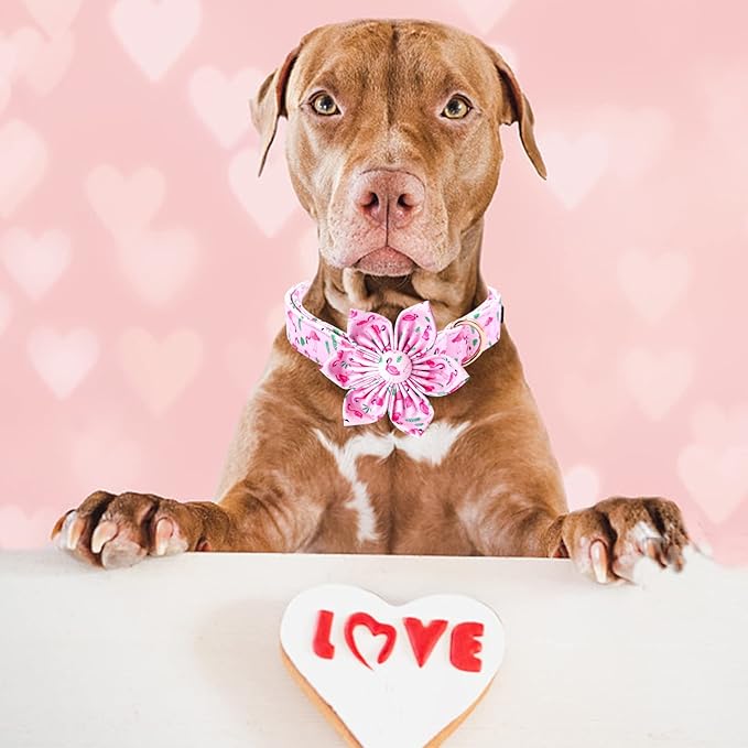 Lionheart Glory Valentine's Day Collar with Flower, Pink with Bowtie Spring Collar for X-Small Dogs