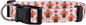 Native Pup Thanksgiving Dog Collar- Fall Collars for Dogs- Autumn Leaf, Turkey, Pumpkin Pie, Holiday Leaves- Girl Boy Puppy- Adjustable for Small, Medium, Large Breeds (Turkey, Small)