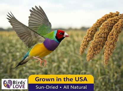 1lb Millet Tips & Tails for Birds - Parakeets, Cockatiels, Lovebirds, Finches, Budgies, Canaries, Cockatoos - Natural & Healthy Millet for Birds - Parakeet Food & Treats for All Parrots (2 Pack)