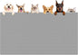 XXXXL Largest Pet Food Mat, 51.2"x25.6"(130cmx65cm) Silicone Dog Mats for Food and Water, Nonslip Pet Feeding Mats for Floors,Dog Cat Bowl Mat with Raised Edges, Light Gray