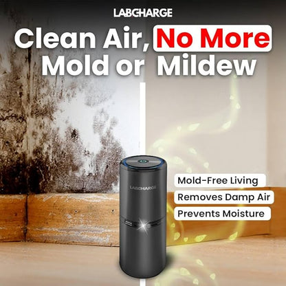 Lab Charge Small Ionic Air Purifier for Home & Bedroom – Silent HEPA Filter – Covers 250 Sq Ft - Free Cleaner for Pets, Hair, Smoke, Dust, Odors & Dander – Compact & Black Design - Pack of 3